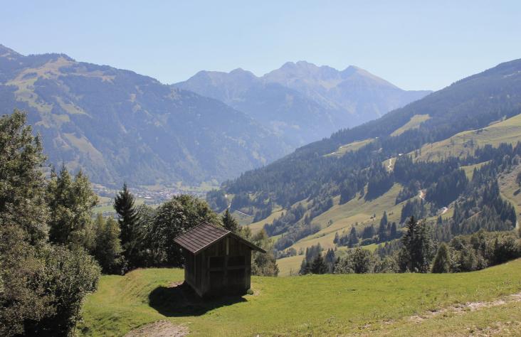 Ein kurzer Blick zurück
