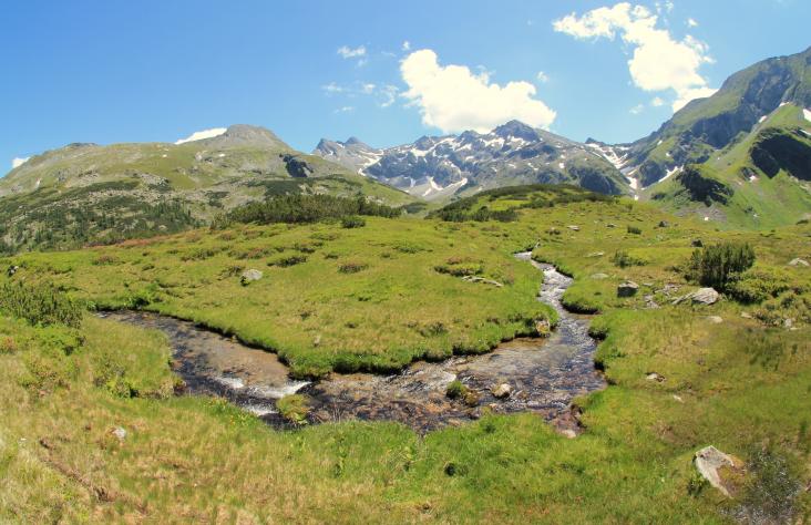 Ein Bach mäandert durch das Hochmoor des Höhkar