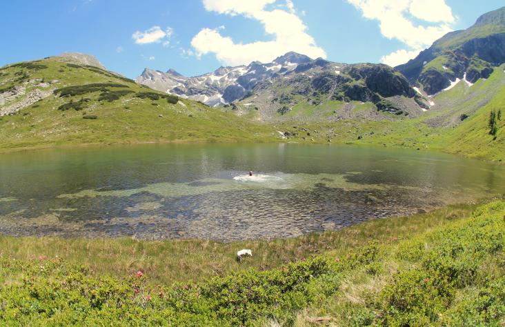 Endlich können wir uns im unteren Höhkarsee erfrischen!