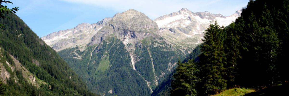 Bild: Christian Lang 