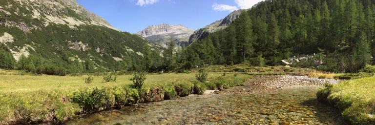 Angekommen im Kühkar