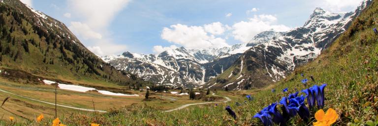 Das Nassfeld im Frühling