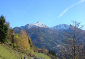 Am Weg zum Planitzengut