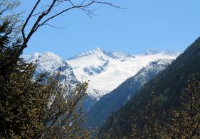 Blick auf die Tischlerspitze