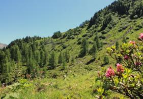 Vor uns das Thomaseck