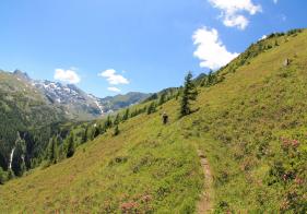 Weiter geht es ins Höhkar