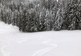 Ein letzter Abfahrtshang 