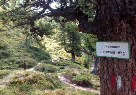 Am Dr. Greinwald Weg geht's fast eben Richtung Palfnersee.