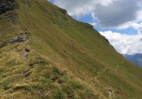 Am Weg zum Gamskarkogel...