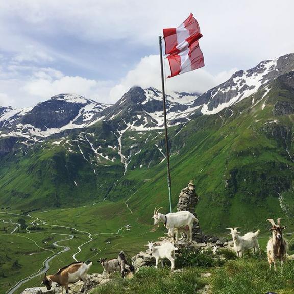 Another wonderful day of hiking around #bockhartsee, with a few new friends! 😄