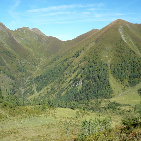 Blick auf die Schmalzscharte und den Tennkogel