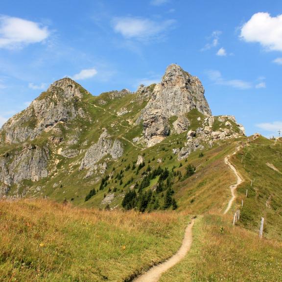 Der herrliche Weg zum Schuhflicker