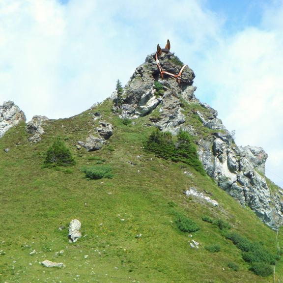 Felsenwesen auf der Schlossalm, Pferd