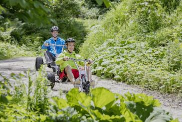 Mountaincart am Fulseck